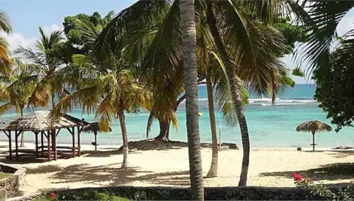 Karibeko : Exceptionnel & Rare : Plage , Piscine, Wifi Prive Saint-Francois  Exterior photo